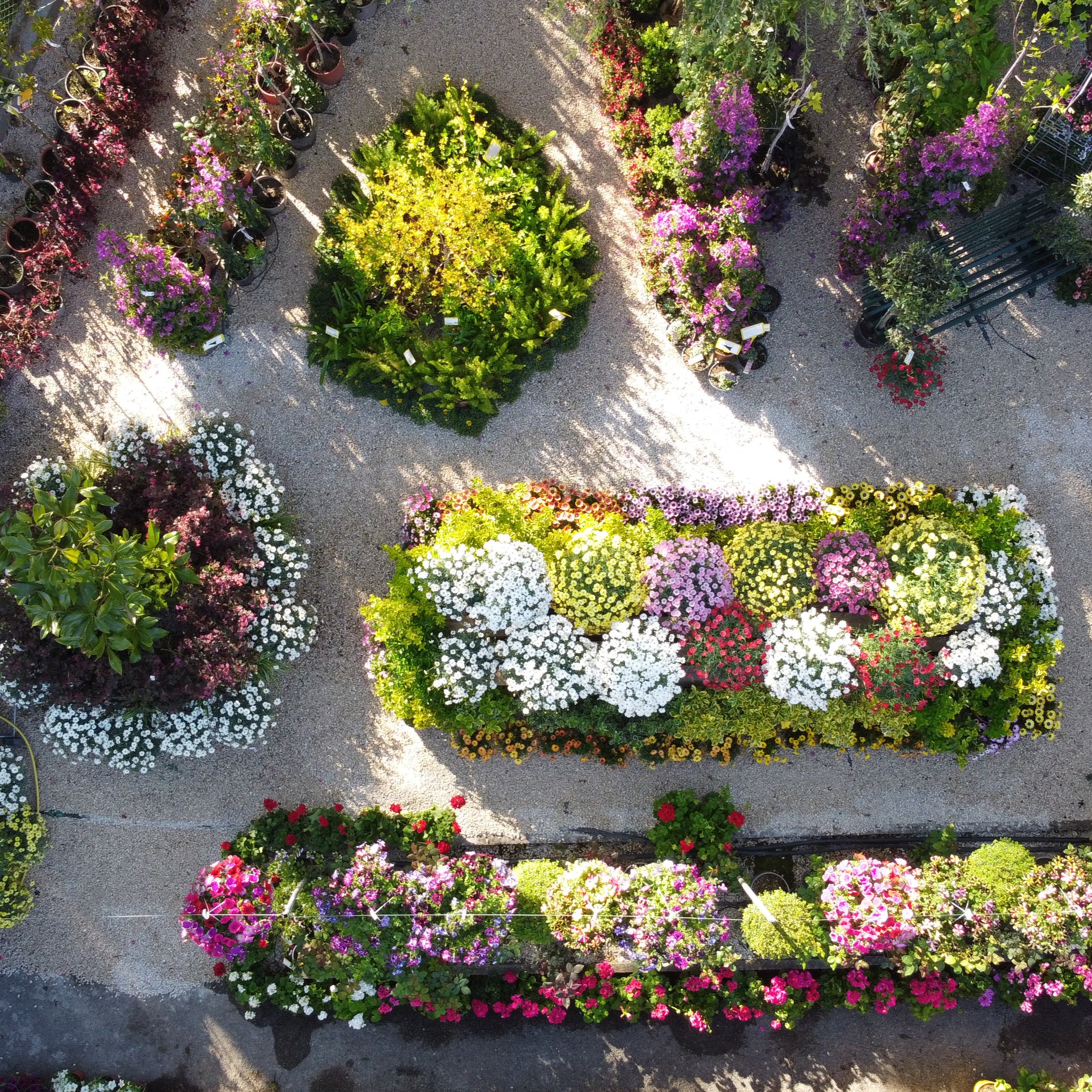 DCIM100MEDIADJI_0790.JPG DCIM100MEDIADJI_0790.JPG