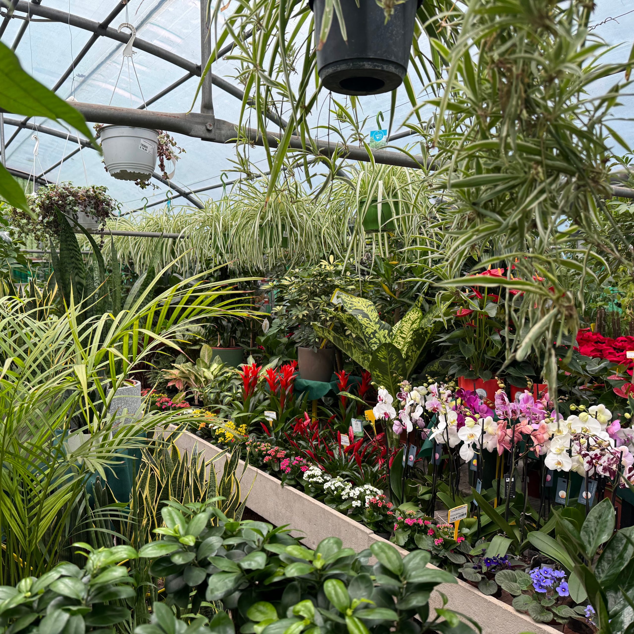 IMG_1813-EDIT IMG_1813-EDIT