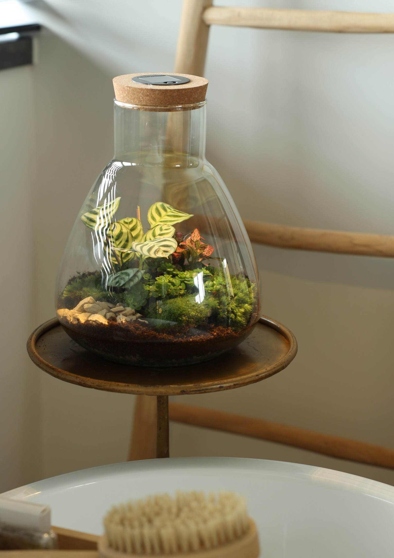 Wardians-solarsystem-1